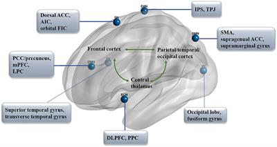 Functional networks in prolonged disorders of consciousness
